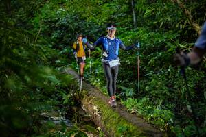 BIB: 
                            <button type="button" onclick="openModal(18923043)" class="btn btn-primary btn-sm float-right btn-popup" data-toggle="modal" data-target=".modal-high-quality">
                        <i class="fas fa-shopping-cart"></i> Add to Cart
                    </button>
                                            <button type="button" onclick="isThisMe(18923043, true)" class="btn btn-success btn-sm float-right btn-popup btn-isme hidden" data-toggle="tooltip" data-placement="bottom" title="นี่คือรูปของคุณใช่ไหม คลิกที่นี่เพื่อเอาเข้าอัลบั้ม">
                        <i class="fas fa-plus"></i> Add to album
                    </button>
                    <button type="button" onclick="isThisMe(18923043, false)" class="btn btn-warning btn-sm float-right btn-popup btn-isnotme hidden">
                        <i class="fas fa-ban"></i> Remove from album
                    </button>